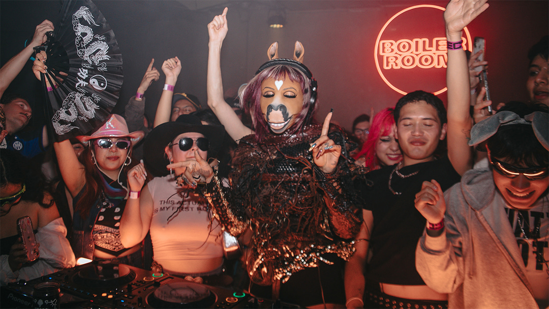 Photo of set horsegiirL.