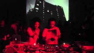 Photo of set Samoyed.