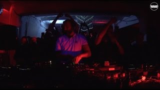 Photo of set Catz 'n Dogz.