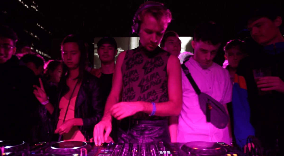 Photo of set Basenji.