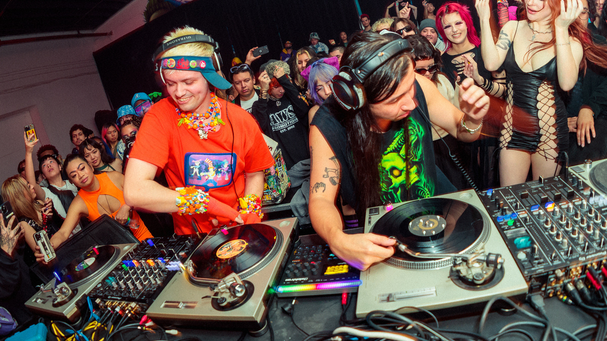 Photo of set Baseck 2x4 Flapjack.