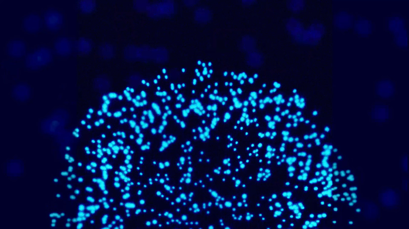 Flyer for event BR x Bud Light Frontiers : MUTEK Montréal.